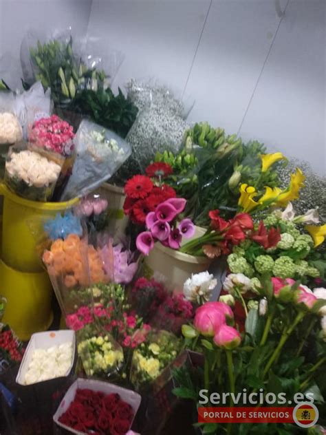 interflora marbella|Floristerías San Pedro de Alcántara a domicilio .